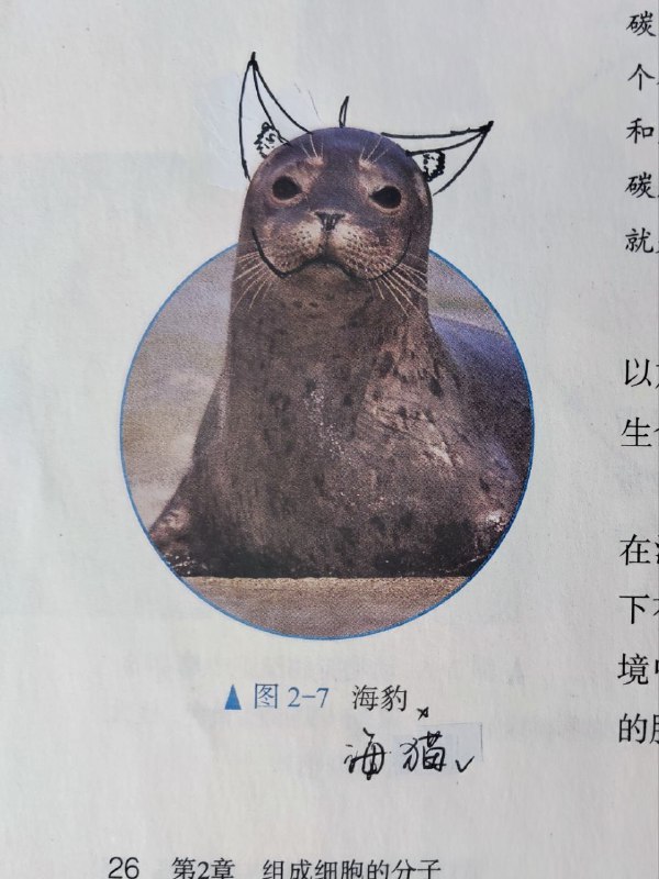 灵 夺 魂 画 手灵 夺 魂 画 手