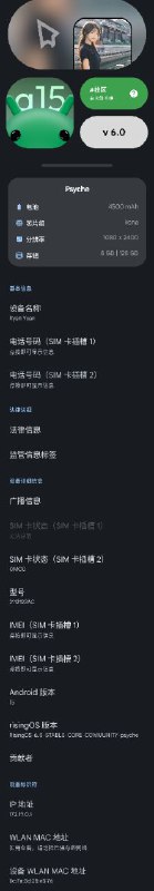 类 Android 原生系统risingOS v6 体验报告这下不得不用电脑了出了好几次意外P1：高度可定制的快速设置面板；P2：自带圈定即搜；P3：自带开源小窗 & 侧边栏；P4：系统信息；P5：Android15 彩蛋；P6：特色的自定义；P7：APatch（懒得自己改内核源码了）；P8：Google Play 验证伪装（这个是真的伪装）；P9：已知问题