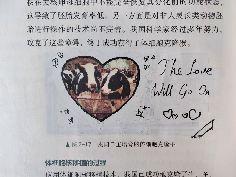 灵 夺 魂 画 手灵 夺 魂 画 手