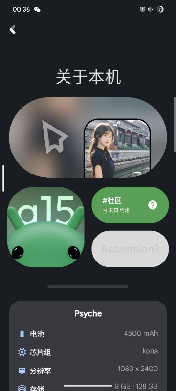 类 Android 原生系统risingOS v6 体验报告这下不得不用电脑了出了好几次意外P1：高度可定制的快速设置面板；P2：自带圈定即搜；P3：自带开源小窗 & 侧边栏；P4：系统信息；P5：Android15 彩蛋；P6：特色的自定义；P7：APatch（懒得自己改内核源码了）；P8：Google Play 验证伪装（这个是真的伪装）；P9：已知问题
