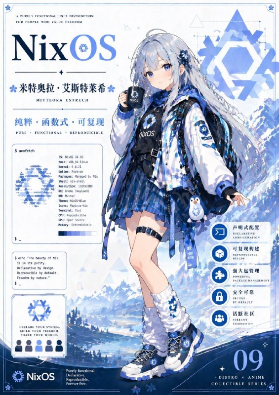 补一个 NixOS 的